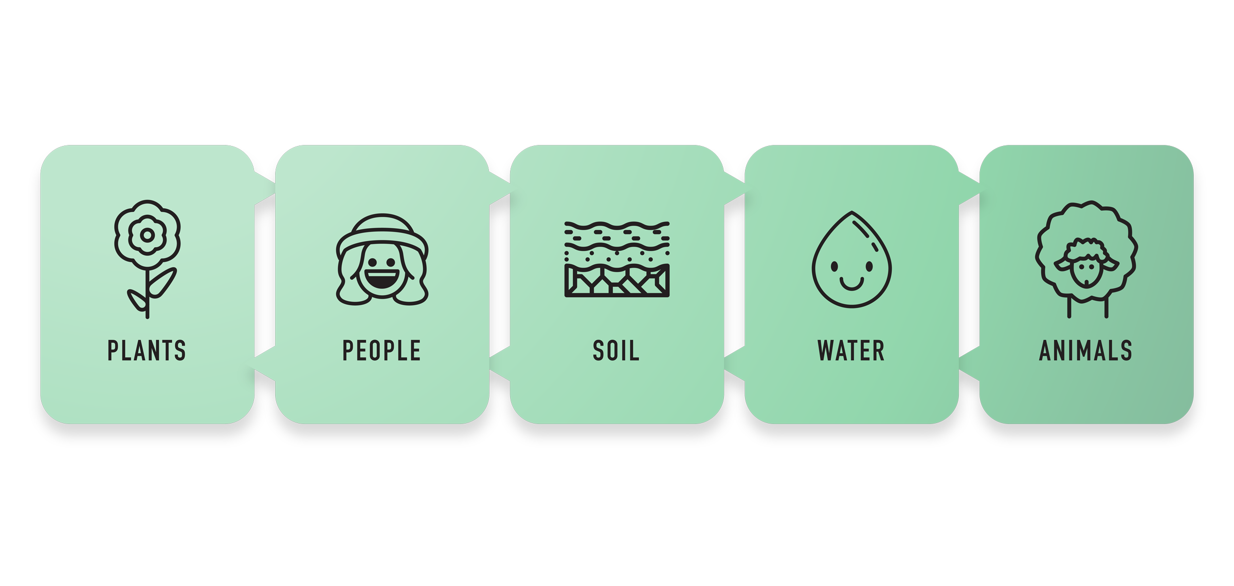 Regenerative Farming Initiatives
